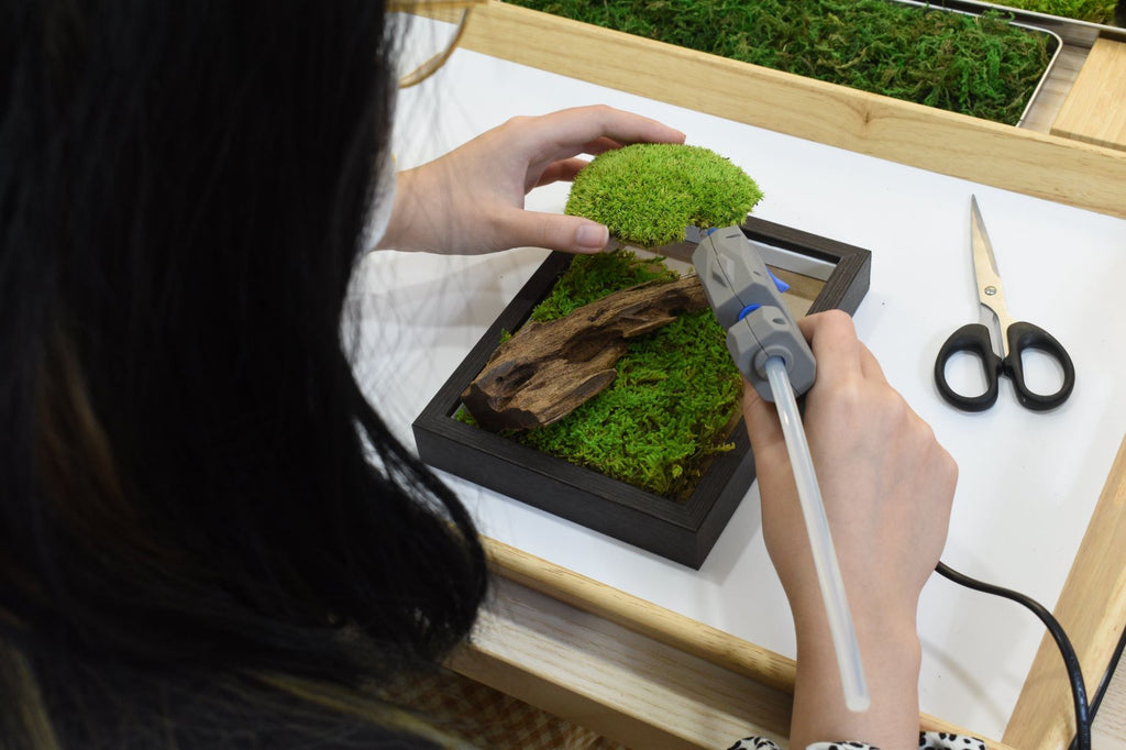 Moss Frame Workshop Booking